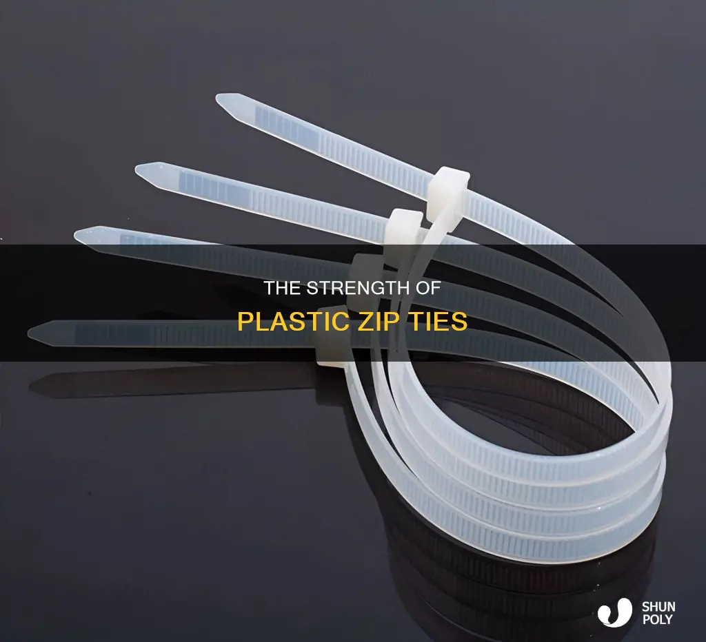 what is a plastic zip tie