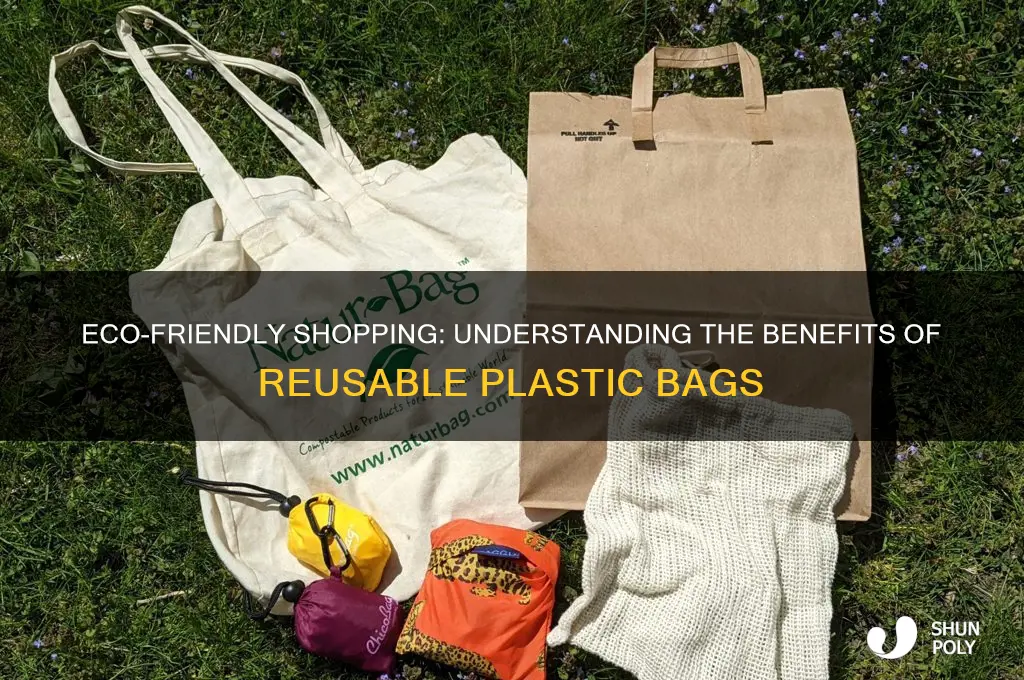 what is a reusable plastic bag