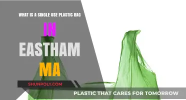 Understanding Single-Use Plastic Bags in Eastham, MA: A Quick Guide