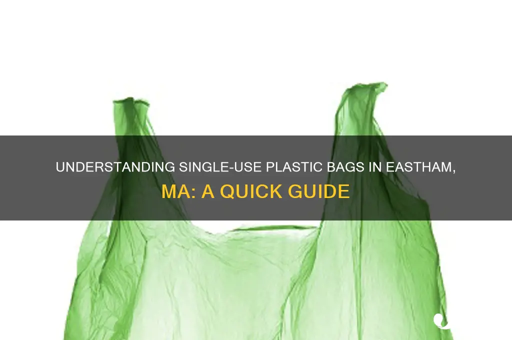 what is a single use plastic bag in eastham ma