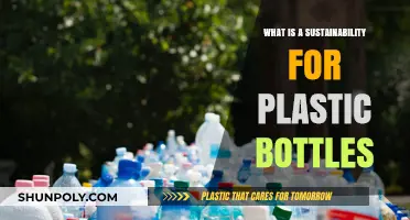 Sustainable Solutions: Understanding Plastic Bottle Recycling and Eco-Friendly Alternatives