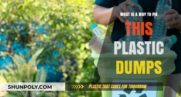 Innovative Solutions to Combat Plastic Pollution: A Comprehensive Guide