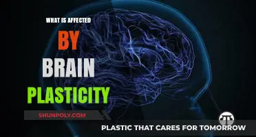 Brain Plasticity: Shaping Our Minds and Our Lives