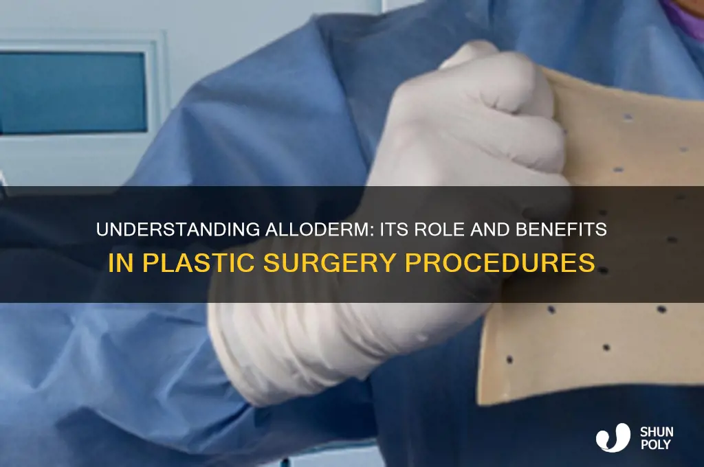 what is alloderm in plastic surgery