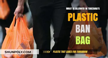 Tanzania's Plastic Ban: What's Allowed in Eco-Friendly Bags?