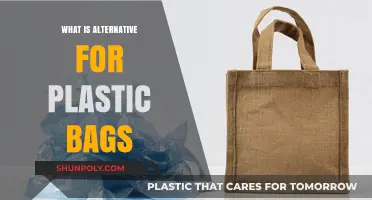 Eco-Friendly Alternatives to Plastic Bags: Sustainable Options for a Greener Future