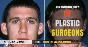 Understanding the American Society of Plastic Surgeons: Mission, Standards, and Impact