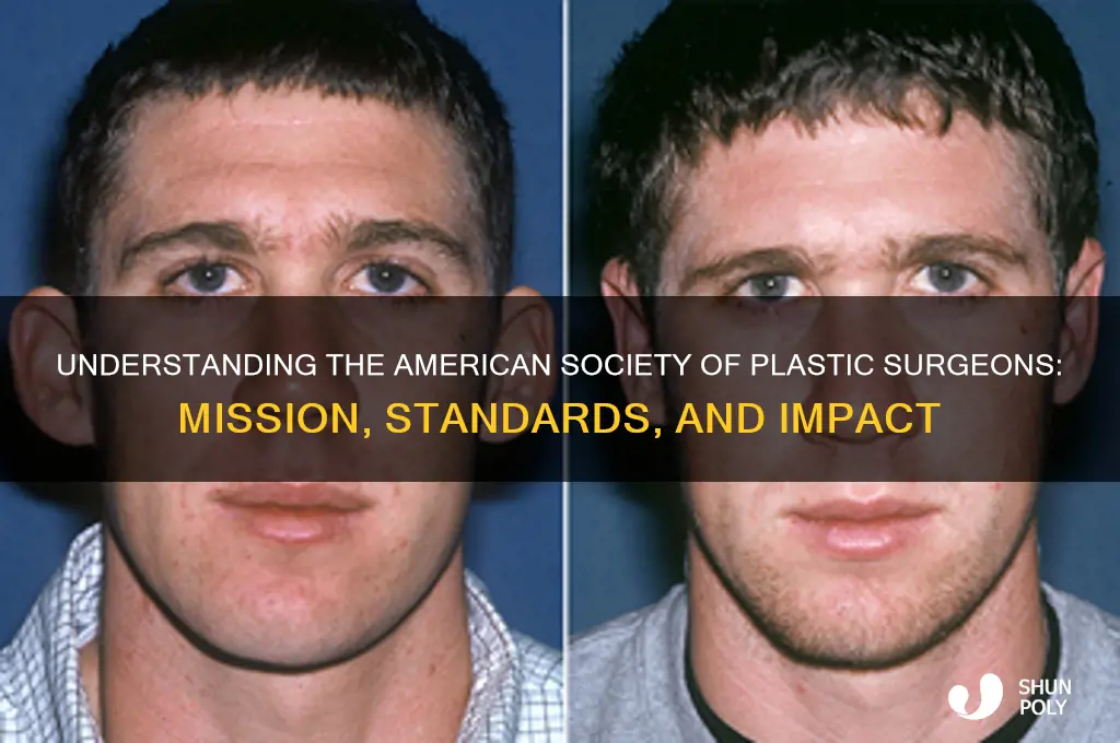what is american society of plastic surgeons