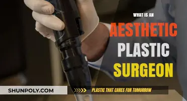 Understanding the Role of an Aesthetic Plastic Surgeon: Art Meets Science