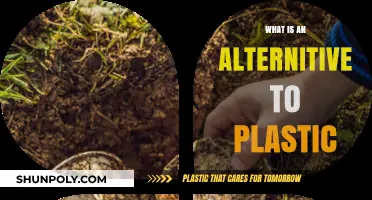 Eco-Friendly Alternatives to Plastic: Sustainable Solutions