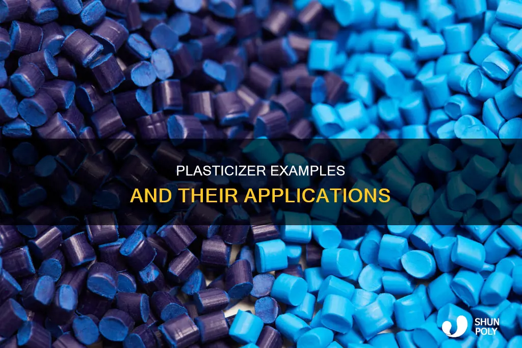 what is an example of a plasticizer