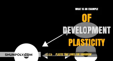 Developmental Plasticity: An Adaptive Superpower