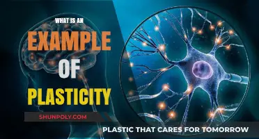 Brain Plasticity: Rewiring for Change