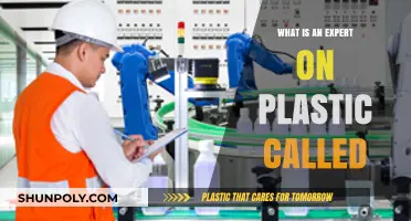 Plastic Professionals: Who Are Polymer Experts?
