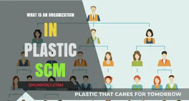 Plastic SCM Organization: What's the Deal?