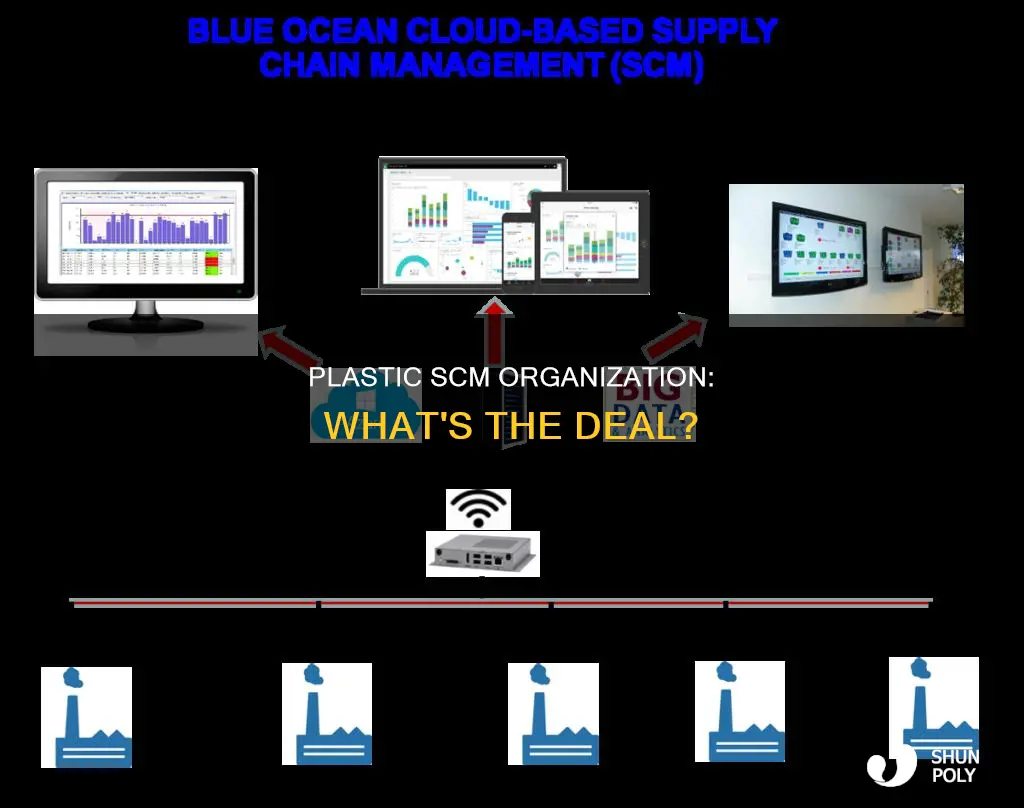 what is an organization in plastic scm