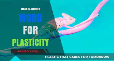 Exploring Synonyms for Plasticity: Versatile Vocabulary