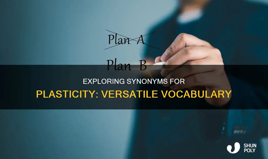what is another word for plasticity