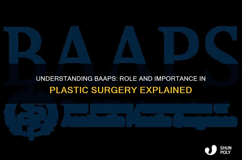 what is baaps in plastic surgery