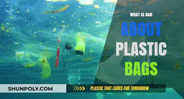 The Harmful Impact of Plastic Bags on Our Environment