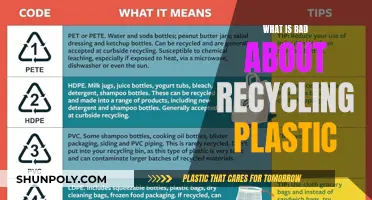 Plastic Recycling: Harmful Impacts and Misconceptions