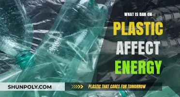 Plastic Ban: Energy Impact and the Environment