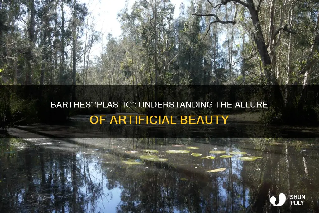 what is barthes roland plastic about
