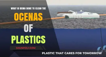 Innovative Solutions: Global Efforts to Rid Oceans of Plastic Pollution