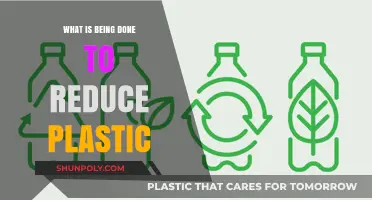 Initiatives to Reduce Plastic Pollution and Protect Our Planet