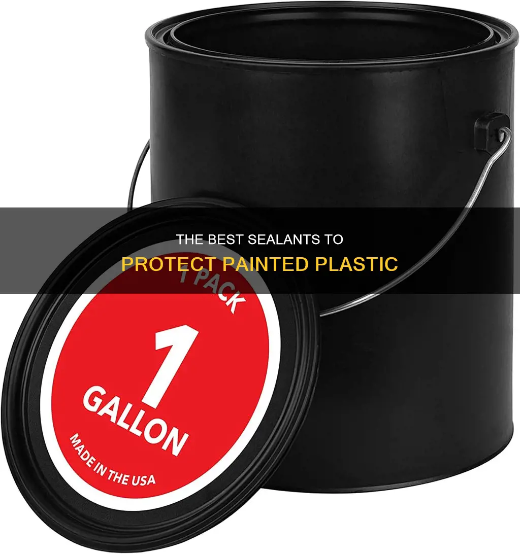 what is best to seal painted plastic