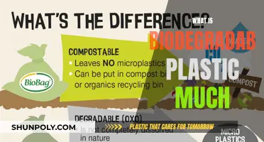Biodegradable Plastic: Understanding Its Eco-Friendly Benefits