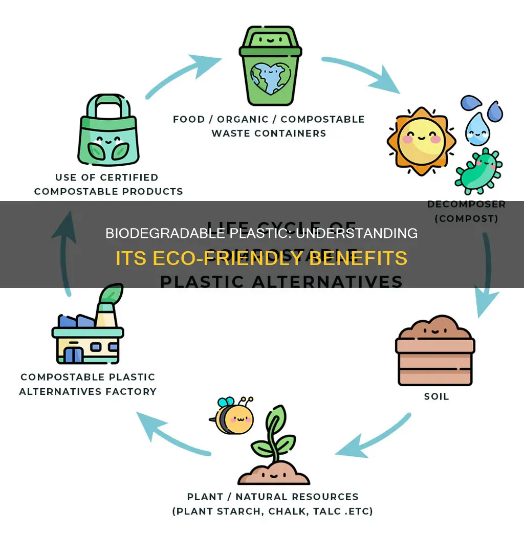 what is biodegradable plastic much