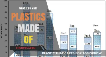 Understanding Biomass Plastics: Composition, Sources, and Eco-Friendly Benefits