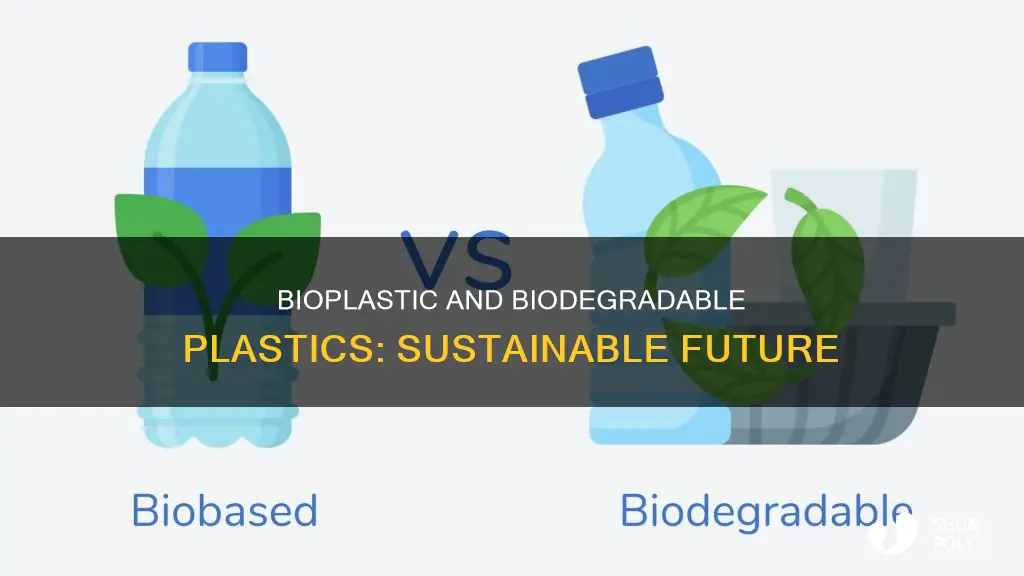 what is bioplastic and biodegradable plastics