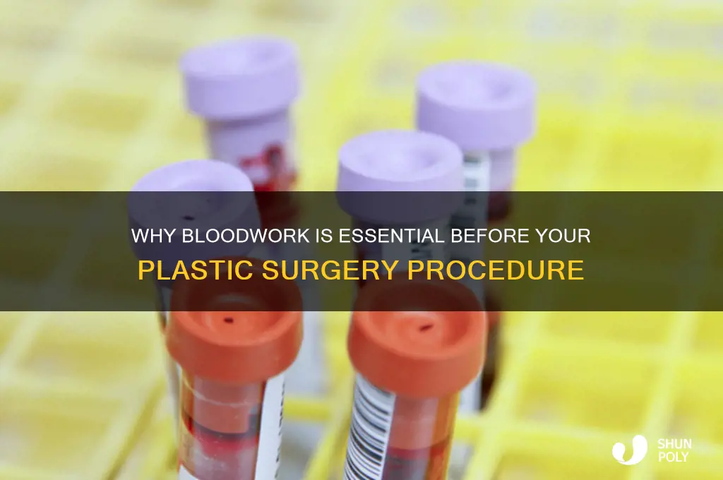 what is bloodwork needed for plastic surgery