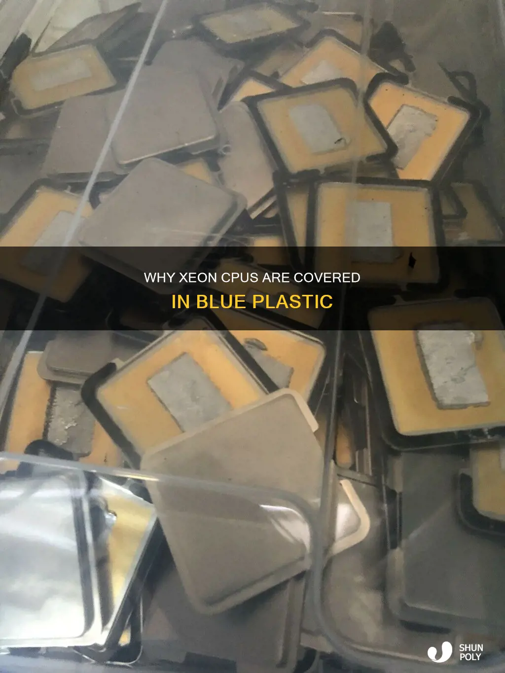 what is blue plastic around xeon cpus