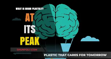Unlocking the Brain's Ultimate Plasticity Potential