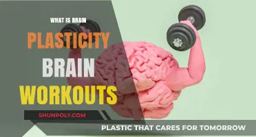 Unlocking Brain Power: Workouts for Neuroplasticity