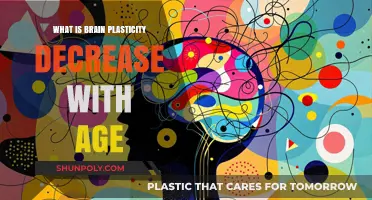 Brain Plasticity: Why Does It Decline With Age?