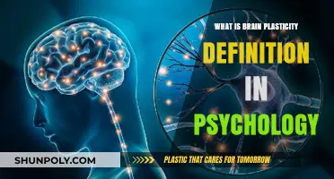 Brain Plasticity: Psychology's Definition and Power