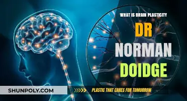 Unlocking Brain Plasticity: Dr. Norman Doidge's Revolutionary Insights