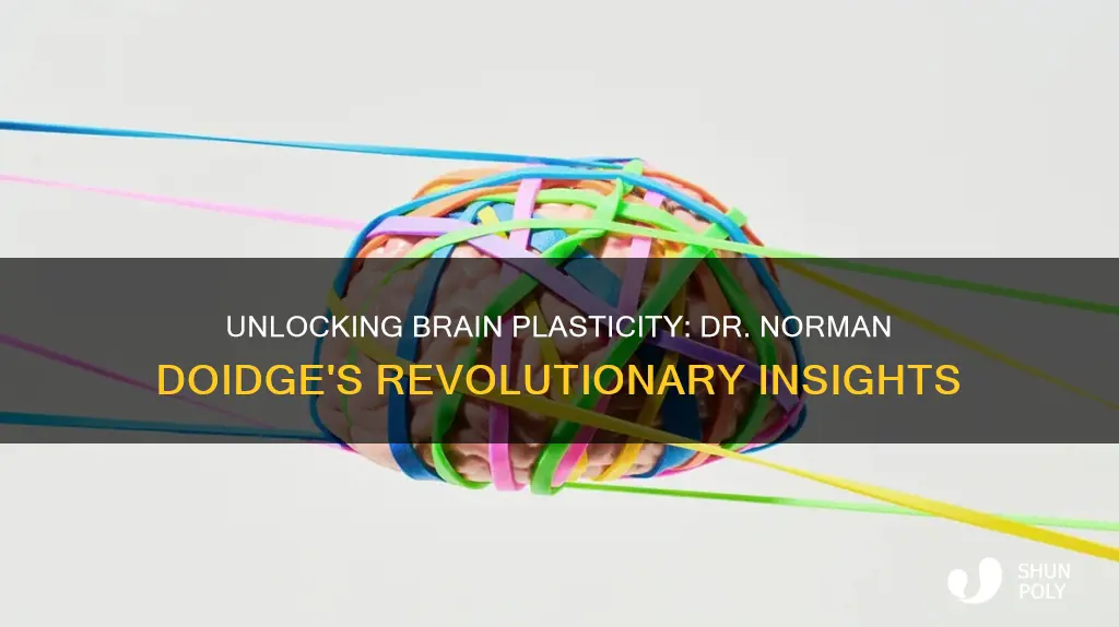 what is brain plasticity dr norman doidge