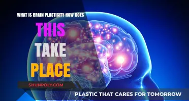 Unlocking the Mind: The Fascinating Journey of Brain Plasticity