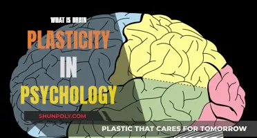 Brain Plasticity: Psychology's Malleable Mind Power