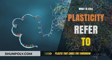 Cell Plasticity: The Science of Cellular Transformation