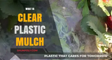 Clear Plastic Mulch: Benefits, Uses, and Eco-Friendly Gardening Tips