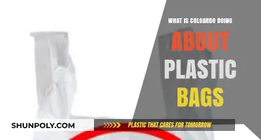 Colorado's Plastic Bag Policies: Current Actions and Future Plans
