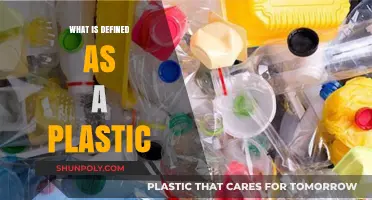 The Many Faces of Plastic: What Qualifies?