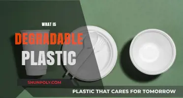 Unveiling the Truth: What Makes Plastic Biodegradable?