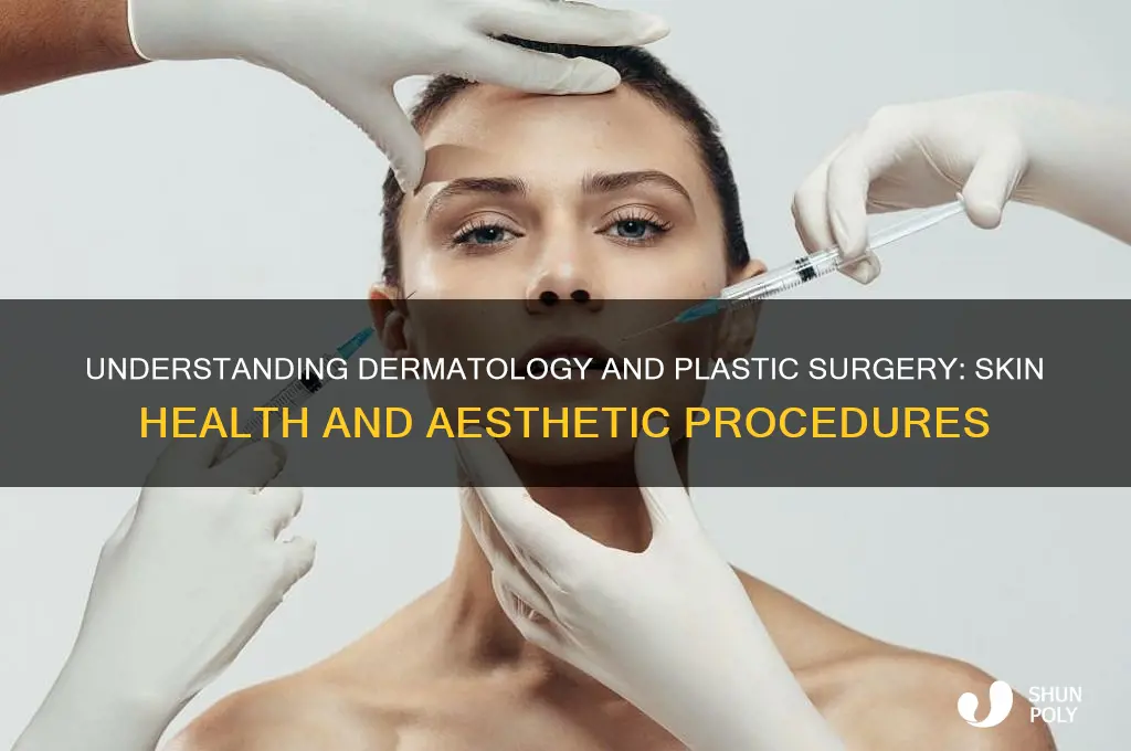 what is dermatology and plastic surgery
